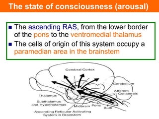  The ascending RAS, from the lower border
of the pons to the ventromedial thalamus
 The cells of origin of this system occupy a
paramedian area in the brainstem
The state of consciousness (arousal)
 