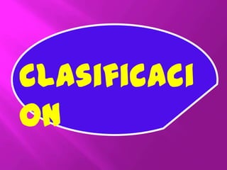 Clasificaci
on