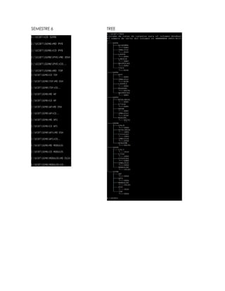 SEMESTRE 6 TREE
 
