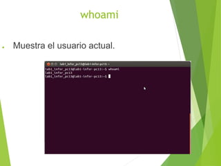 whoami
● Muestra el usuario actual.
 