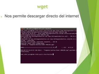 wget
● Nos permite descargar directo del internet
 