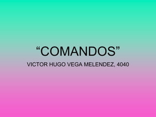 “COMANDOS”
VICTOR HUGO VEGA MELENDEZ, 4040
 