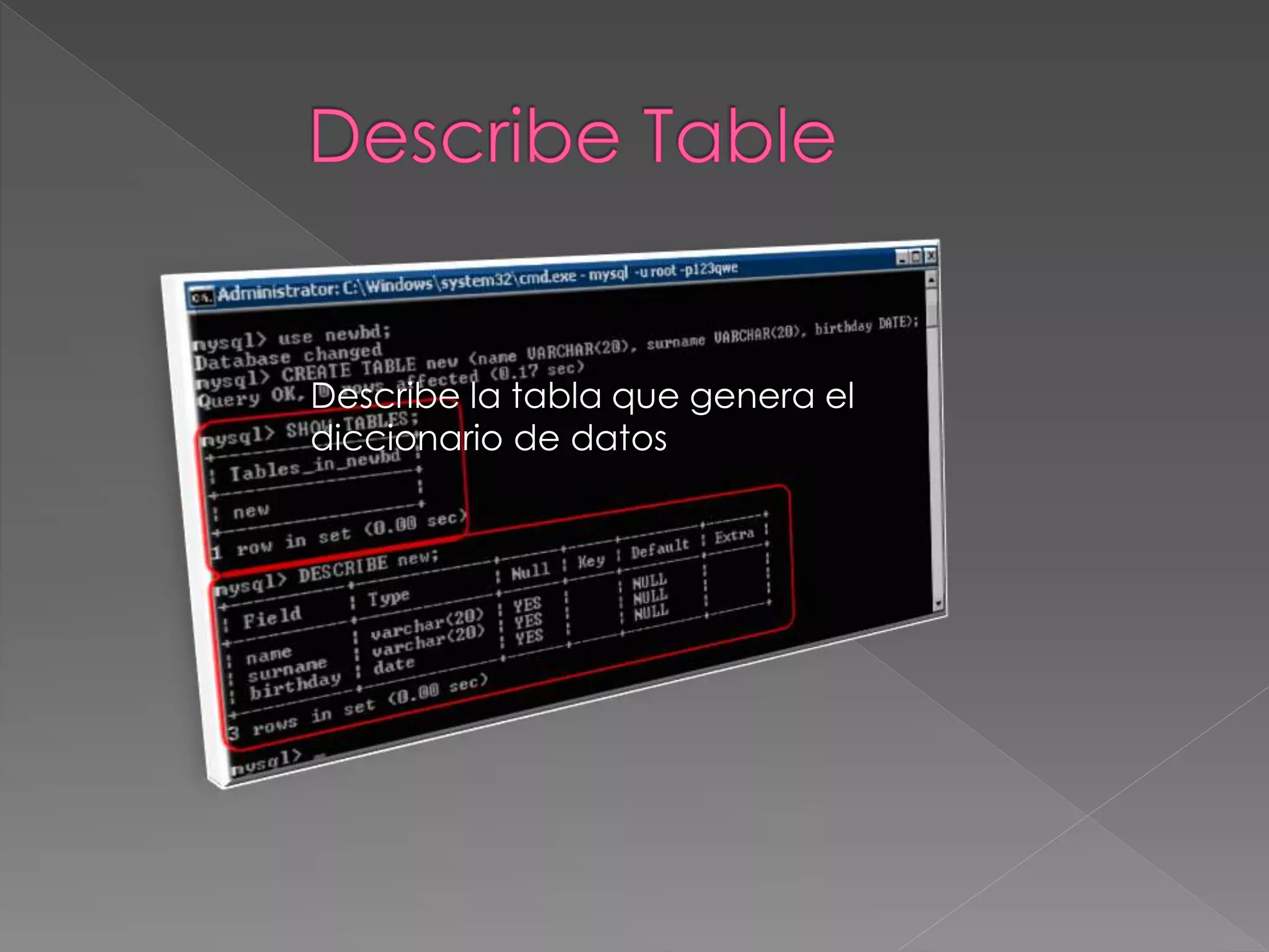 Describe la tabla que genera el
diccionario de datos
 