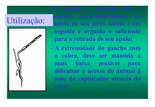 – O gancho é passado sob o
animal, aproximadamente no
início de seu terço médio e em
seguida é erguido o suficiente
para a retirada de seu apoio;
– A extremidade do gancho com
a cobra, deve ser mantida a
mais baixa possível para
dificultar o acesso do animal à
mão do capturador através do
cabo;
Utilização:
 