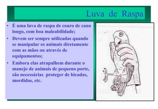 Luva de Raspa
• É uma luva de raspa de couro de cano
longo, com boa maleabilidade;
• Devem ser sempre utilizadas quando
se manipular os animais diretamente
com as mãos ou através de
equipamentos;
• Embora elas atrapalhem durante o
manejo de animais de pequeno porte,
são necessárias proteger de bicadas,
mordidas, etc.
 