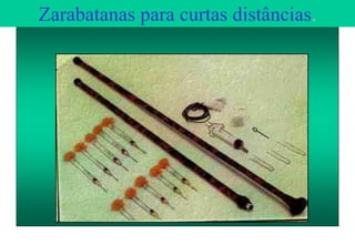Zarabatanas para curtas distâncias.
 