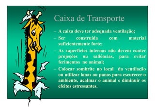 Caixa de Transporte
– A caixa deve ter adequada ventilação;
– Ser construída com material
suficientemente forte;
– As superfícies internas não devem conter
projeções ou saliências, para evitar
ferimentos no animal;
– Colocar sombrite no local da ventilação
ou utilizar lonas ou panos para escurecer o
ambiente, acalmar o animal e diminuir os
efeitos estressantes.
 