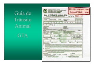 Guia de
Trânsito
Animal
GTA
 