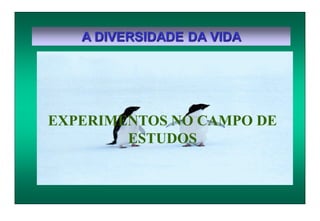 A DIVERSIDADE DA VIDA
EXPERIMENTOS NO CAMPO DE
ESTUDOS
 