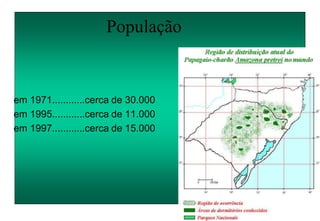 População
em 1971............cerca de 30.000
em 1995............cerca de 11.000
em 1997............cerca de 15.000
 