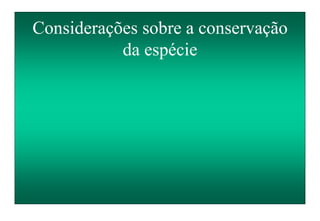 Considerações sobre a conservação
da espécie
 