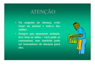 ATENÇÃO
• Na suspeita de doença, evite
tocar no animal e isole-o dos
sadios;
• Sempre que manusear animais,
lave bem as mãos - você pode se
contaminar, mas também pode
ser transmissor de doenças para
eles.
 