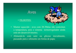 Aves
• FILHOTES:
• Manter aquecido - aves com 20-30dias não controlam
a temperatura, pois o sistema termorregulador ainda
está em desenvolvimento;
• Alimentá-lo com soro ou glicose inicialmente,
passando para o alimento em forma de papa;
 