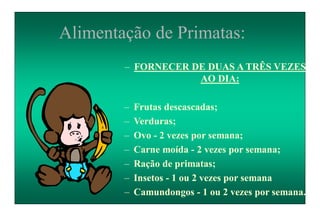 Alimentação de Primatas:
– FORNECER DE DUAS A TRÊS VEZES
AO DIA:
– Frutas descascadas;
– Verduras;
– Ovo - 2 vezes por semana;
– Carne moída - 2 vezes por semana;
– Ração de primatas;
– Insetos - 1 ou 2 vezes por semana
– Camundongos - 1 ou 2 vezes por semana.
 