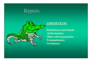 APRESENTAM:
Deficiência nutricional
Deformações;
Olhos esbranquiçados;
Traumatismos;
Verminose;
Répteis
 