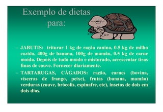 Exemplo de dietas
para:
– JABUTIS: triturar 1 kg de ração canina, 0.5 kg de milho
cozido, 400g de banana, 100g de mamão, 0.5 kg de carne
moída. Depois de tudo moído e misturado, acrescentar tiras
finas de couve. Fornecer diariamente.
– TARTARUGAS, CÁGADOS: ração, carnes (bovina,
vísceras de frango, peixe), frutas (banana, mamão)
verduras (couve, brócolis, espinafre, etc), insetos de dois em
dois dias.
 