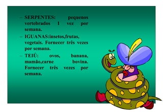 – SERPENTES: pequenos
vertebrados 1 vez por
semana.
– IGUANAS:insetos,frutas,
vegetais. Fornecer três vezes
por semana.
– TEIÚ: ovos, banana,
mamão,carne bovina.
Fornecer três vezes por
semana.
 