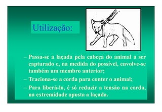– Passa-se a laçada pela cabeça do animal a ser
capturado e, na medida do possível, envolve-se
também um membro anterior;
– Traciona-se a corda para conter o animal;
– Para liberá-lo, é só reduzir a tensão na corda,
na extremidade oposta a laçada.
Utilização:
 