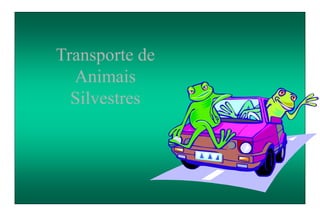Transporte de
Animais
Silvestres
 