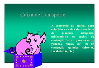 Caixa de Transporte:
– A contenção do animal para
colocá-lo na caixa deve ser feito
de maneira adequada,
utilizando-se os meios de
contenção física : pau-de-couro,
ganchos, puçás, etc; ou de
contenção química (pistolas,
zarabatanas, etc.)
 