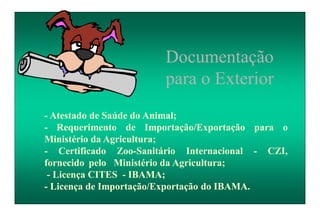 - Atestado de Saúde do Animal;
- Requerimento de Importação/Exportação para o
Ministério da Agricultura;
- Certificado Zoo-Sanitário Internacional - CZI,
fornecido pelo Ministério da Agricultura;
- Licença CITES - IBAMA;
- Licença de Importação/Exportação do IBAMA.
Documentação
para o Exterior
 