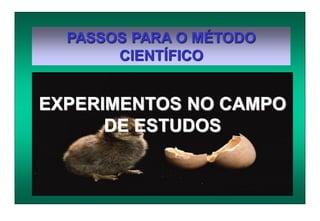 PASSOS PARA O MÉTODO
CIENTÍFICO
EXPERIMENTOS NO CAMPO
DE ESTUDOS
 