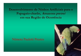 Desenvolvimento de Ninhos Artificiais para o
Papagaio-charão, Amazona pretrei
em sua Região de Ocorrência
Nêmora Pauletti Prestes
 