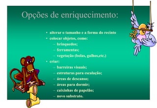 Opções de enriquecimento:
• alterar o tamanho e a forma do recinto
• colocar objetos, como:
– brinquedos;
– ferramentas;
– vegetação (bolas, galhos,etc.)
• criar:
– barreiras visuais;
– estruturas para escalação;
– áreas de descanso;
– áreas para dormir;
– caixinhas de papelão;
– novo substrato.
 