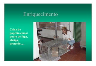 Enriquecimento
Caixa de
papelão como:
ponto de fuga,
abrigo,
proteção.....
 