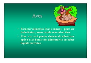 Aves
• Fornecer alimentos leves e macios - pode ser
dado frutas , arroz cozido sem sal ou óleo.
• Uma ave terá poucas chances de sobreviver
após 6 a 24 horas sem alimentar-se ou beber
líquido ou frutas.
 