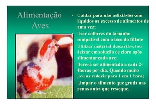 Alimentação
Aves
• Cuidar para não asfixiá-los com
líquidos ou excesso de alimentos de
uma vez;
• Usar colheres do tamanho
compatível com o bico do filhote
• Utilizar material descartável ou
deixar em solução de cloro após
alimentar cada ave;
• Deverá ser alimentado a cada 2-
4horas por dia. Quando muito
jovens reduzir para 1 em 1 hora;
• Limpar o alimento que gruda nas
penas antes que resseque.
 