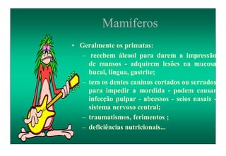 Mamíferos
• Geralmente os primatas:
– recebem álcool para darem a impressão
de mansos - adquirem lesões na mucosa
bucal, língua, gastrite;
– tem os dentes caninos cortados ou serrados
para impedir a mordida - podem causar
infecção pulpar - abcessos - seios nasais -
sistema nervoso central;
– traumatismos, ferimentos ;
– deficiências nutricionais...
 