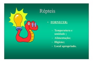Répteis
• FORNECER:
– Temperatura e
umidade ;
– Alimentação;
– Higiene;
– Local apropriado.
 