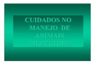 CUIDADOS NO
MANEJO DE
ANIMAIS
SILVESTRES
 