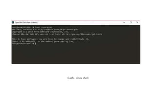 Bash - Linux shell
 
