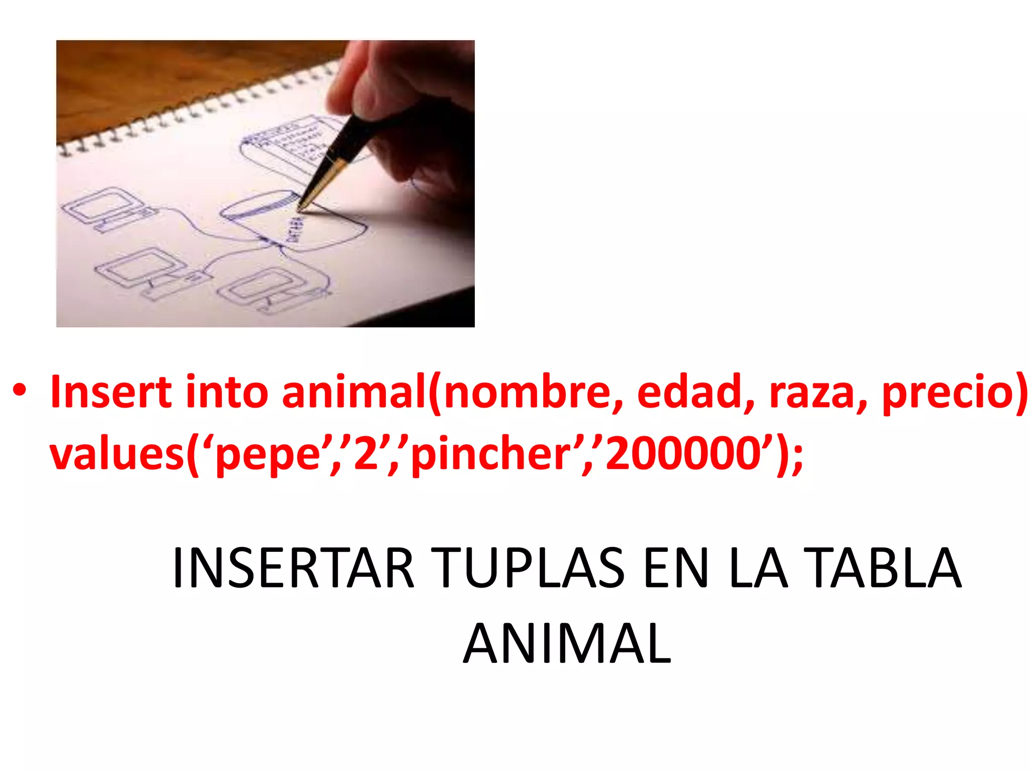 Insertintoanimal(nombre, edad, raza, precio) values(‘pepe’,’2’,’pincher’,’200000’);INSERTAR TUPLAS EN LA TABLA ANIMAL