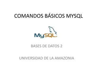 COMANDOS BÁSICOS MYSQL BASES DE DATOS 2 UNIVERSIDAD DE LA AMAZONIA 