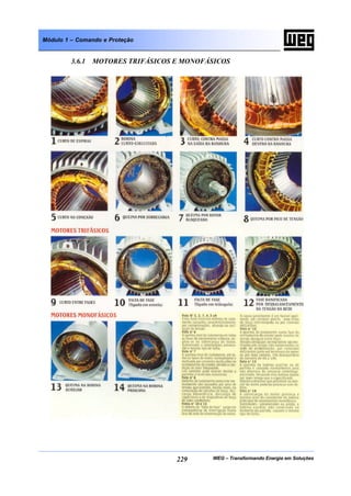WEG – Transformando Energia em Soluções229
Módulo 1 – Comando e Proteção
3.6.1 MOTORES TRIFÁSICOS E MONOFÁSICOS
 