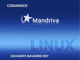 DAVIANYS NAVARRO REY COMANDOS 