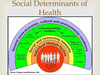 Social Determinants of
        Health
          
 