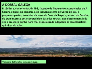 A DORSAL GALEGA
Esténdese, con orientación N-S, facendo de linde entre as provincias de A
Coruña e Lugo. na comarca está i...
