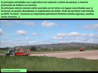 As principais actividades son a agricultura (en especial o cultivo da pataca), a mineiría
(extracción de áridos) e os servizos.
Os principais valores naturais están asociados ao río Limia e ás lagoas naturalizadas que se
formaron ao quedar abandoadas as explotacións de áridos. Parte do territorio está incluído
na ZEPA “A Limia”. Conserva un importante patrimonio histórico-artístico (igrexas, castelos,
restos romanos...).
Sementeira de patacas.
 