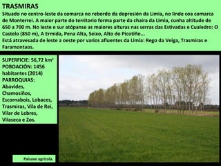 TRASMIRAS
Situado no centro-leste da comarca no rebordo da depresión da Limia, no linde coa comarca
de Monterrei. A maior parte do territorio forma parte da chaira da Limia, cunha altitude de
650 a 700 m. No leste e sur atópanse as maiores alturas nas serras das Estivadas e Cualedro: O
Castelo (850 m), A Ermida, Pena Alta, Seixo, Alto do Picotiño...
Está atravesada de leste a oeste por varios afluentes da Limia: Rego da Veiga, Trasmiras e
Faramontaos.
Paisaxe agrícola.
SUPERFICIE: 56,72 km2
POBOACIÓN: 1456
habitantes (2014)
PARROQUIAS:
Abavides,
Chamosiños,
Escornabois, Lobaces,
Trasmiras, Vila de Rei,
Vilar de Lebres,
Vilaseca e Zos.
 