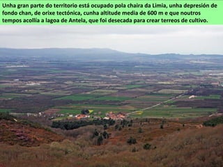 Unha gran parte do territorio está ocupado pola chaira da Limia, unha depresión de
fondo chan, de orixe tectónica, cunha altitude media de 600 m e que noutros
tempos acollía a lagoa de Antela, que foi desecada para crear terreos de cultivo.
 
