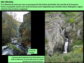 RÍO FÍRVEDA
É un afluente do Limia que nace na parroquia de Vila (Calvos de Randín). No concello de A Porqueira
forma un pequeño cavorco con varias fervenzas entre migmatitas que conteñen seixo, feldespato e algúns
minerais ricos en ferro e magnesio.
Fervenza do Fírveda Na Forxa (A Porqueira, no
linde cos Blancos). O río Fírveda salva un resalte
granítico con varias fervenzas.
Canón do
Fírveda.
 