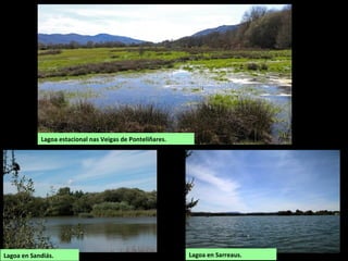 Lagoa estacional nas Veigas de Ponteliñares.
Lagoa en Sandiás. Lagoa en Sarreaus.
 