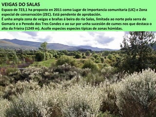 VEIGAS DO SALAS
Espazo de 723,1 ha proposto en 2011 como Lugar de importancia comunitaria (LIC) e Zona
especial de conservación (ZEC). Está pendente de aprobación.
É unha ampla zona de veigas e brañas á beira do río Salas, limitada ao norte pola serra de
Gomariz e o Penedo dos Tres Condes e ao sur por unha sucesión de cumes nos que destaca o
alto da Frieira (1249 m). Acolle especies especies típicas de zonas húmidas.
 