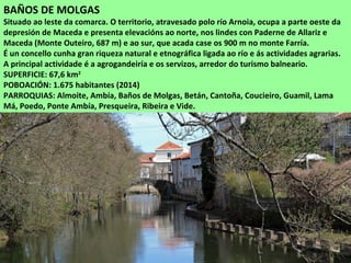BAÑOS DE MOLGAS
Situado ao leste da comarca. O territorio, atravesado polo río Arnoia, ocupa a parte oeste da
depresión de Maceda e presenta elevacións ao norte, nos lindes con Paderne de Allariz e
Maceda (Monte Outeiro, 687 m) e ao sur, que acada case os 900 m no monte Farría.
É un concello cunha gran riqueza natural e etnográfica ligada ao río e ás actividades agrarias.
A principal actividade é a agrogandeiría e os servizos, arredor do turismo balneario.
SUPERFICIE: 67,6 km2
POBOACIÓN: 1.675 habitantes (2014)
PARROQUIAS: Almoite, Ambía, Baños de Molgas, Betán, Cantoña, Coucieiro, Guamil, Lama
Má, Poedo, Ponte Ambía, Presqueira, Ribeira e Vide.
 