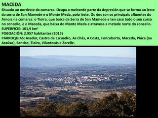 MACEDA
Situado ao nordeste da comarca. Ocupa a meirande parte da depresión que se forma ao leste
da serra de San Mamede e o Monte Meda, polo leste. Os ríos son os principais afluentes do
Arnoia na comarca: o Tioira, que baixa da Serra de San Mamede e ten case todo o seu curso
no concello, e o Maceda, que baixa do Monte Meda e atravesa a metade norte do concello.
SUPERFICIE: 101,9 km2
POBOACIÓN: 2.957 habitantes (2015)
PARROQUIAS: Asadur, Castro de Escuadro, As Chás, A Costa, Foncuberta, Maceda, Piúca (ou
Araúxo), Santiso, Tioira, Vilardecás e Zorelle.
 