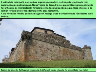 A actividade principal é a agricultura seguida dos servizos e a industria relacionada coas
explotacións de arxila da zona. Na parroquia de Escuadro, nas proximidades do monte Medo
hai unha aula de interpretación forestal destinada á divulgación das prácticas silvícolas e da
xestión forestal que conta ademais cunha área recreativa.
A Vía Nova (vía romana que unía Braga con Astorga cruza o concello desde Foncuberta ata o
Rodicio.
Castelo de Maceda. Foi lugar de residencia de AlfonsoX na súa infancia. Na actualidade é un hotel.
 
